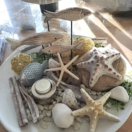 Allegra By Rujana Binz